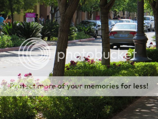 photo IMG_0458_zpsca8500bb.jpg